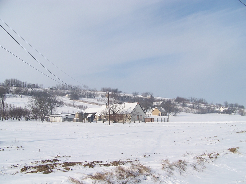 2012.02.09. 056.jpg